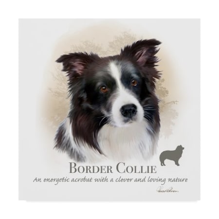 Howard Robinson 'Border Collie' Canvas Art,24x24